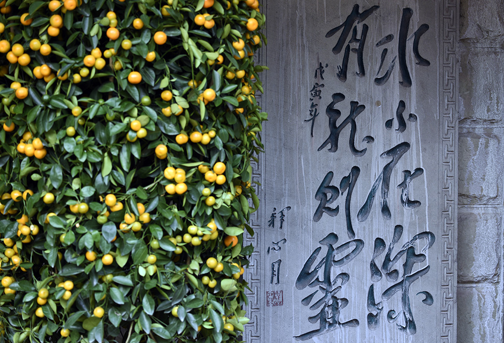 _DSC0434 拷贝.jpg