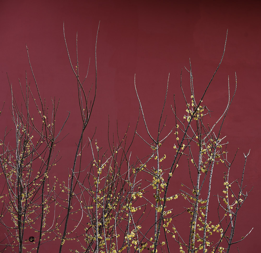 _DSC0448 拷贝.jpg