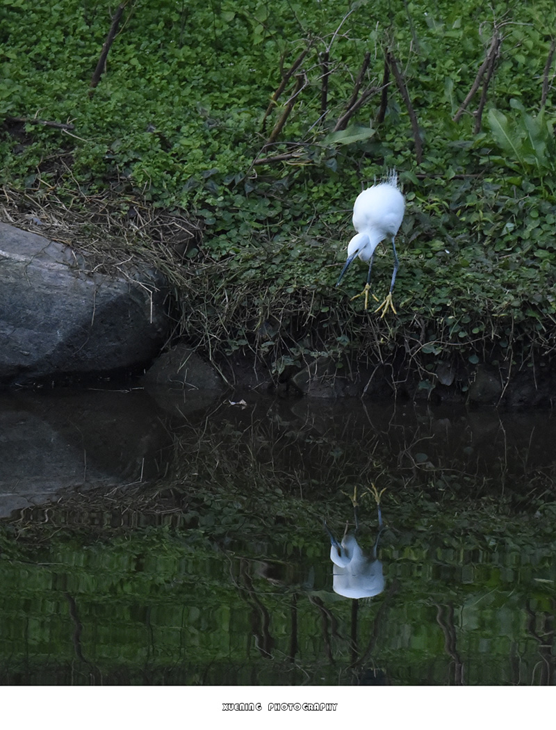 _DSC0652 拷贝.jpg