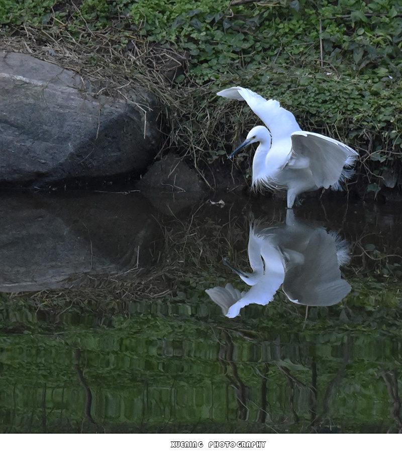 _DSC0653 拷贝.jpg