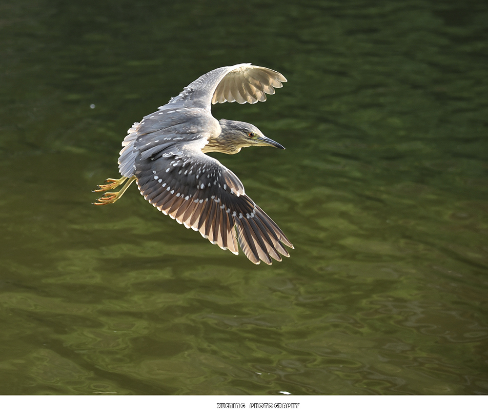 _DSC0766 拷贝.jpg