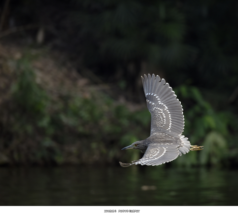 _DSC0860 拷贝.jpg