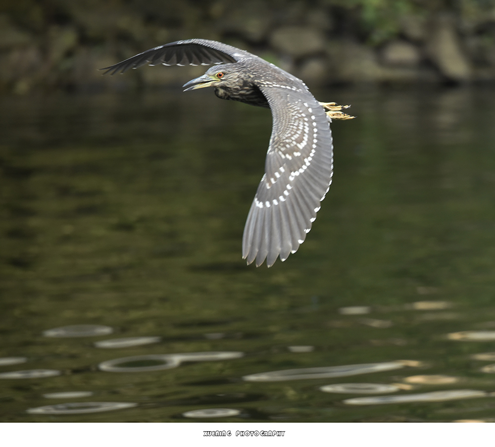 _DSC0862 拷贝.jpg