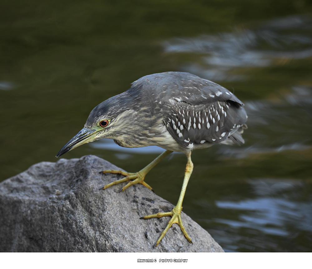 _DSC0913 拷贝.jpg