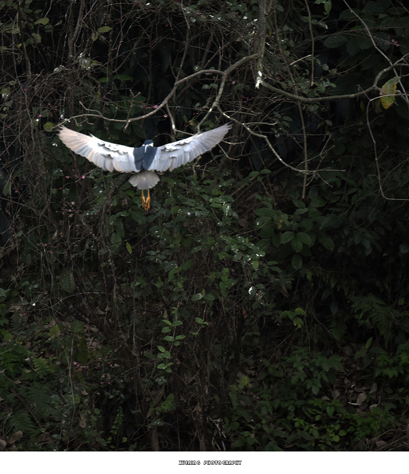 _DSC0778 拷贝.jpg