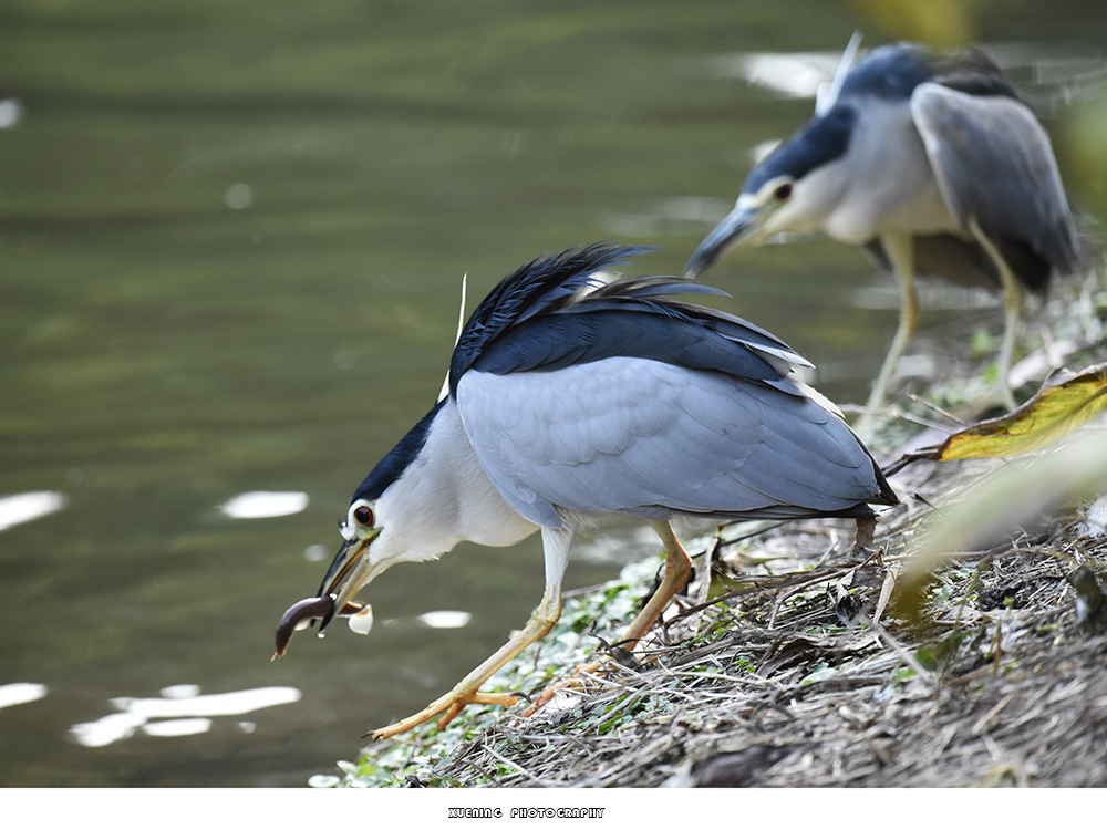 _DSC0802 拷贝.jpg