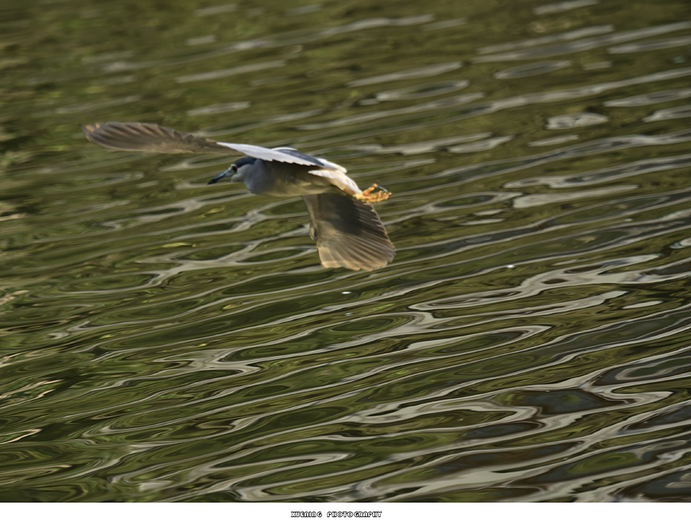 _DSC0809 拷贝.jpg