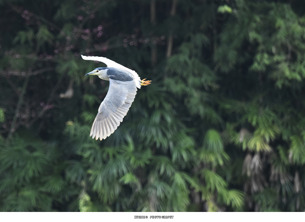 _DSC0825 拷贝.jpg