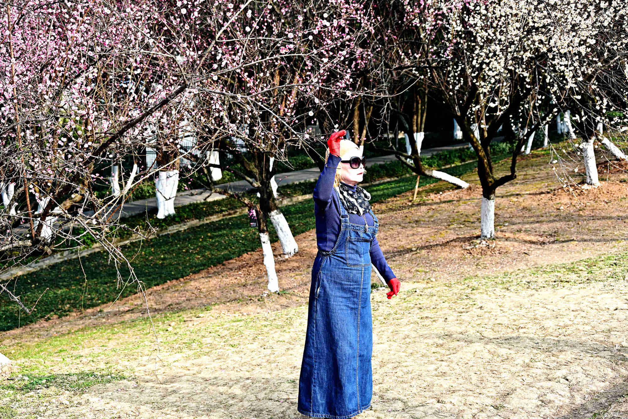 DSC_4913_副本.jpg