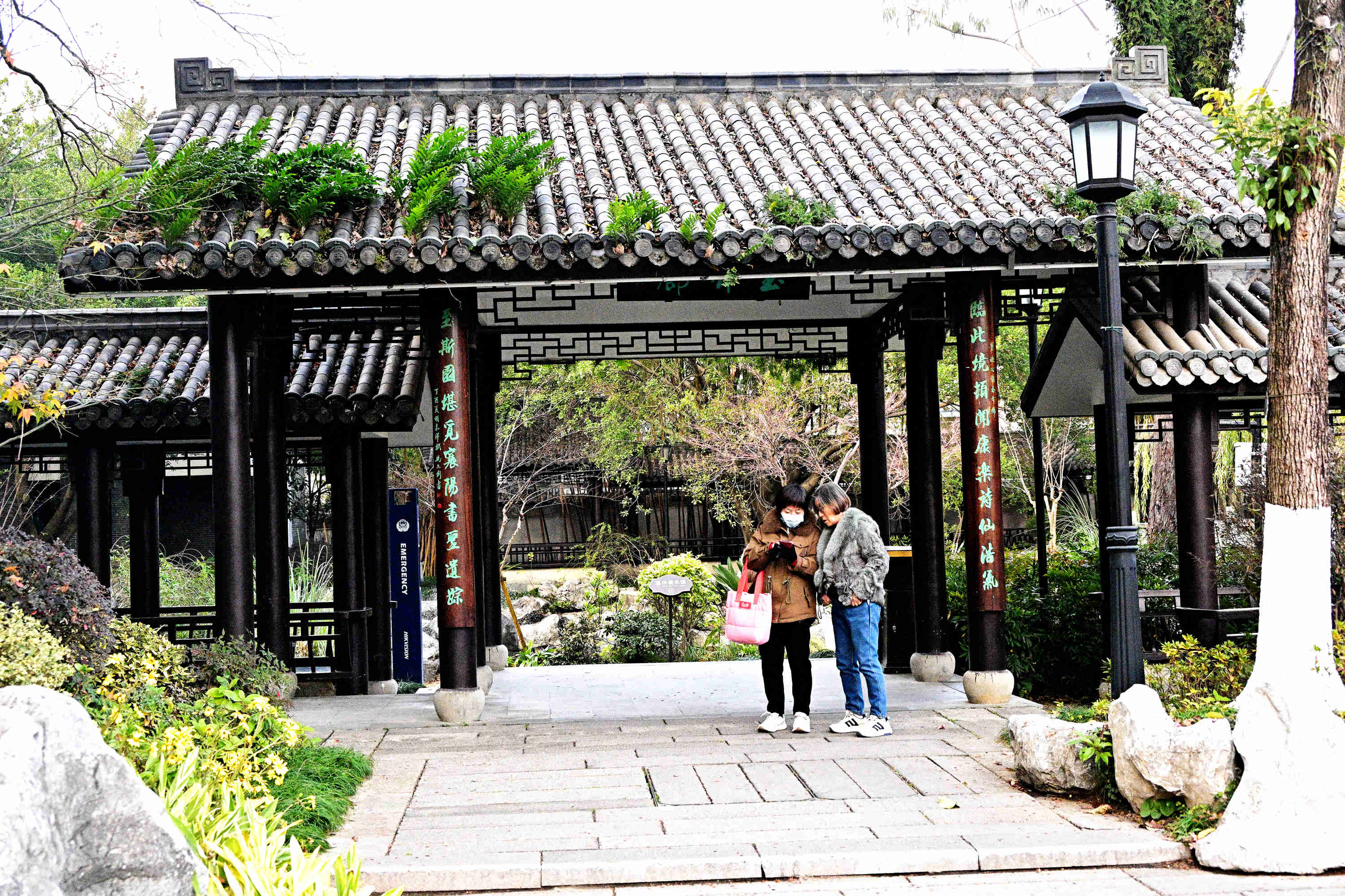DSC_4667_副本.jpg