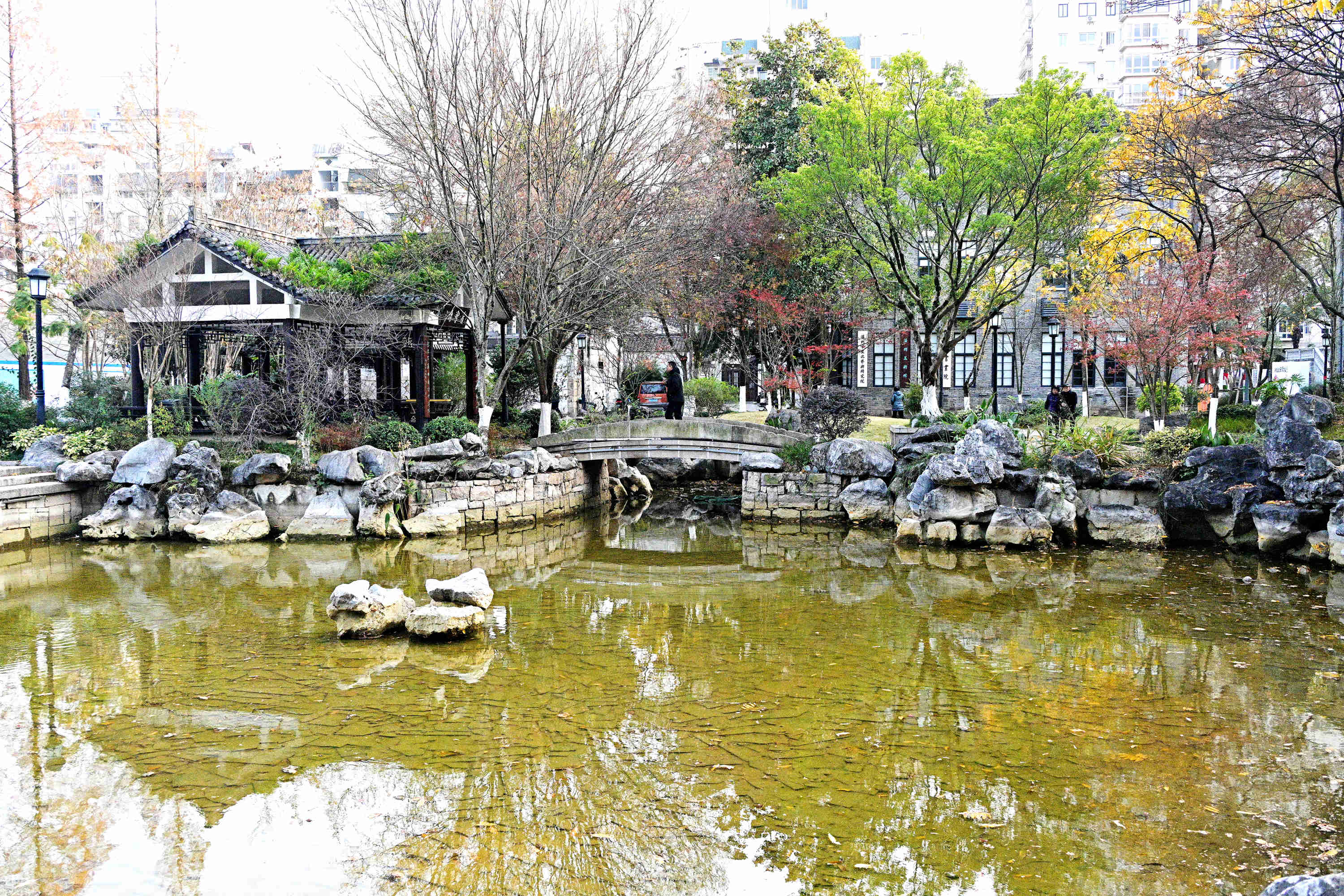 DSC_4666_副本.jpg