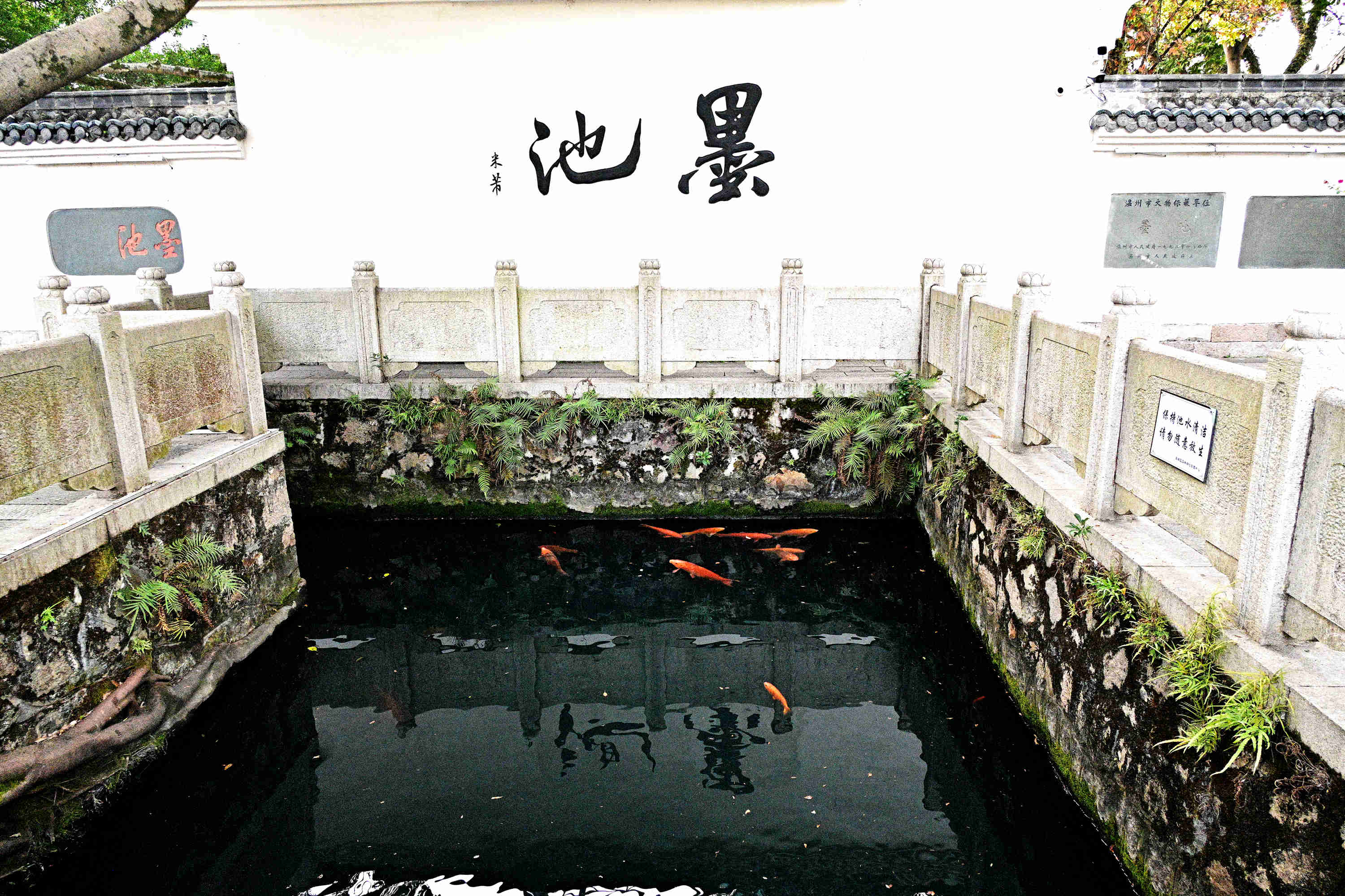 DSC_4660_副本.jpg