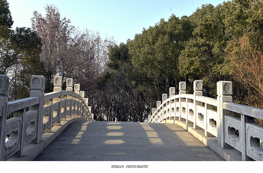 _DSC1315 拷贝.jpg