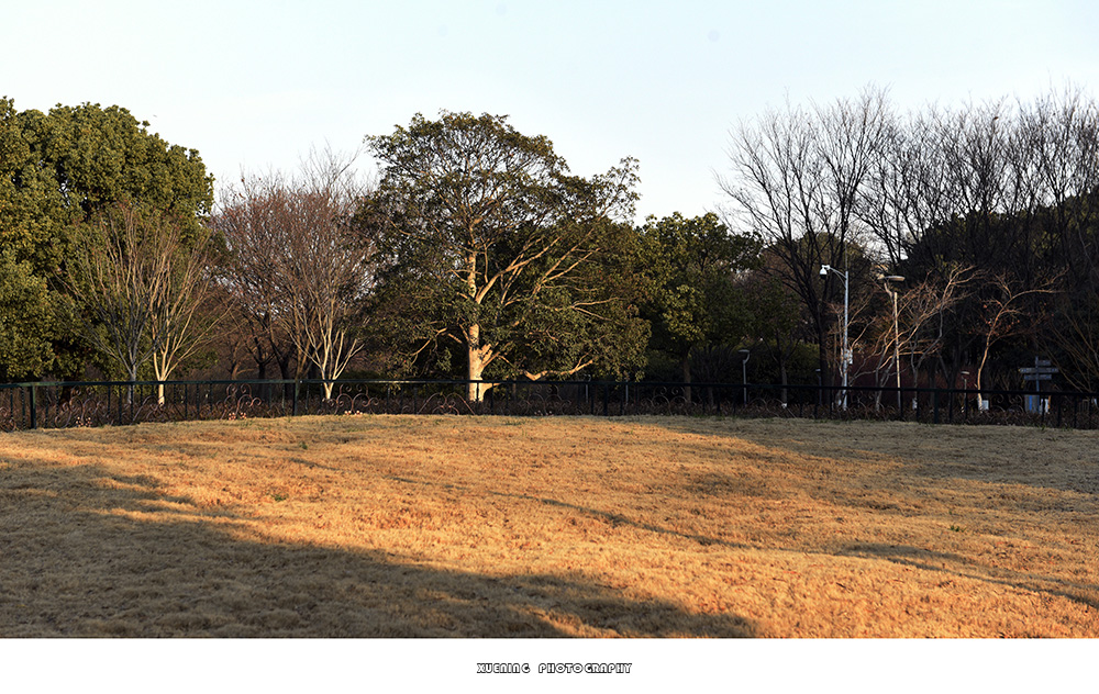 _DSC1339 拷贝.jpg