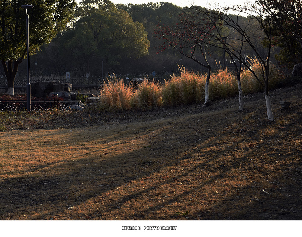 _DSC1342 拷贝.jpg