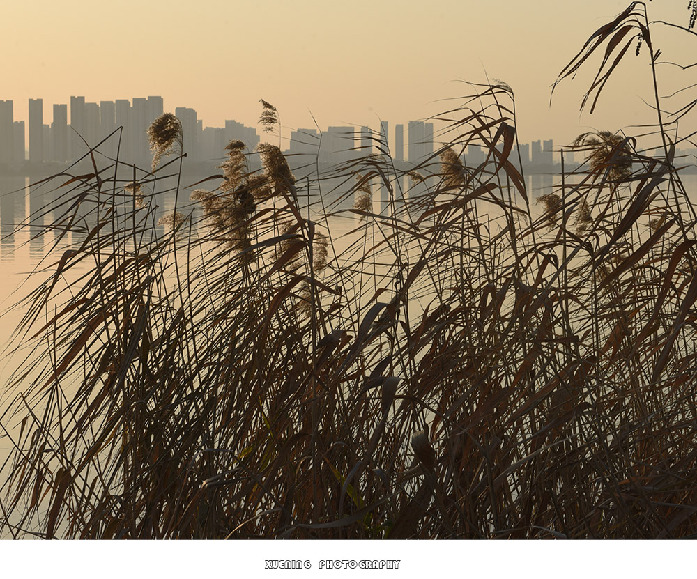 _DSC1375 拷贝.jpg
