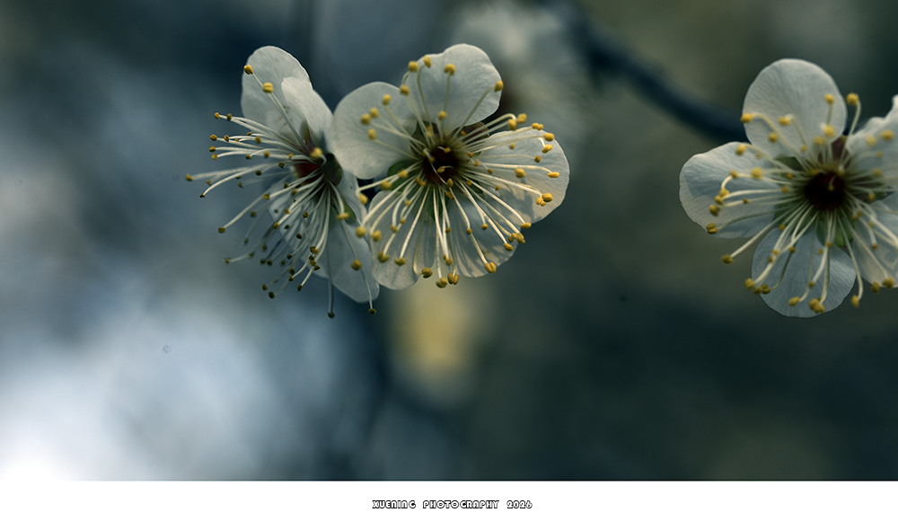 _DSC1802 拷贝.jpg