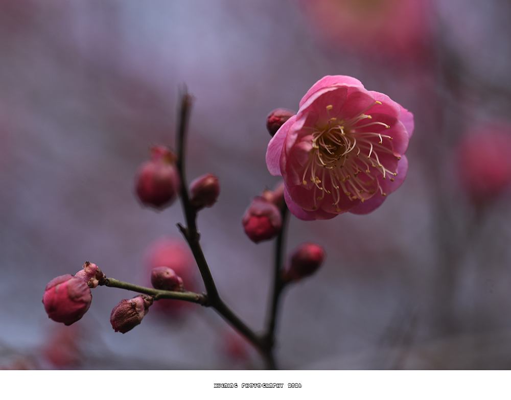 _DSC1964 拷贝.jpg