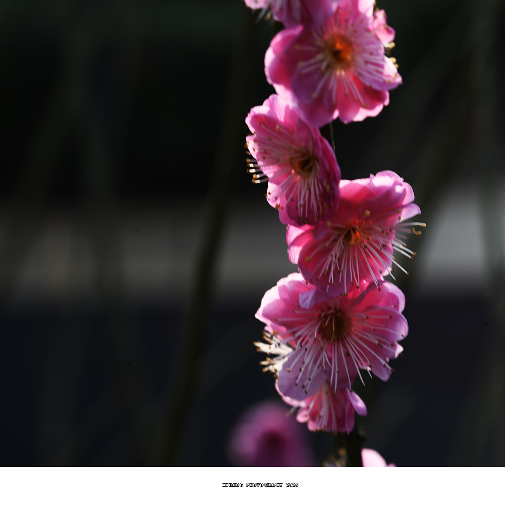 _DSC2030 拷贝.jpg