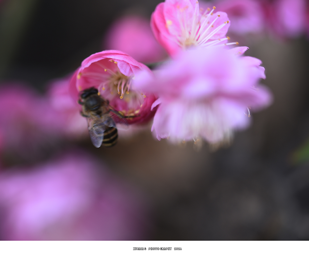 _DSC2050 拷贝.jpg