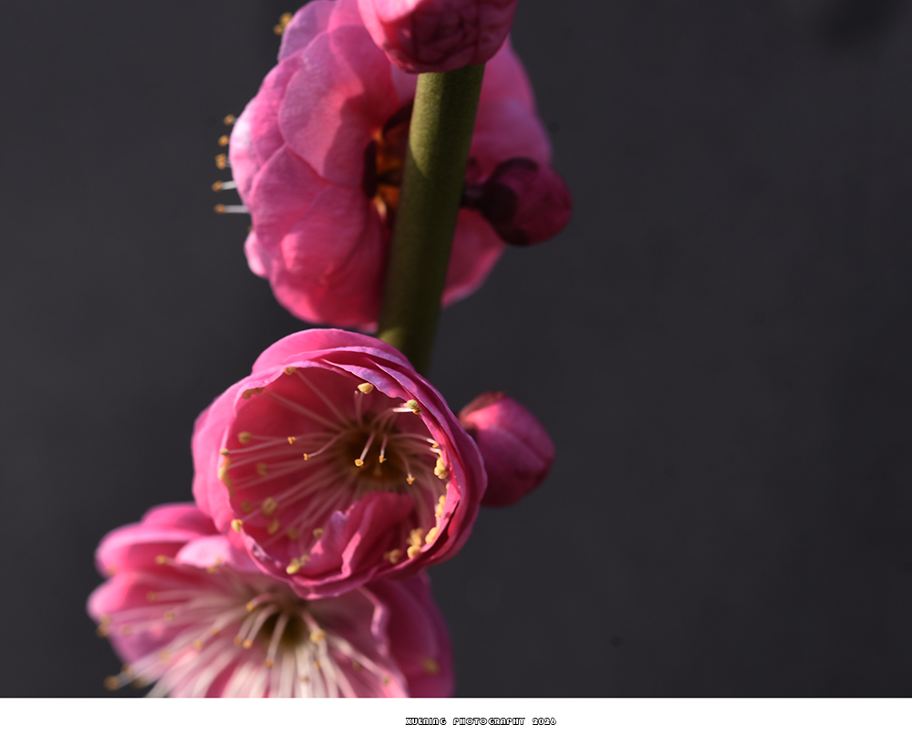 _DSC2022 拷贝.jpg