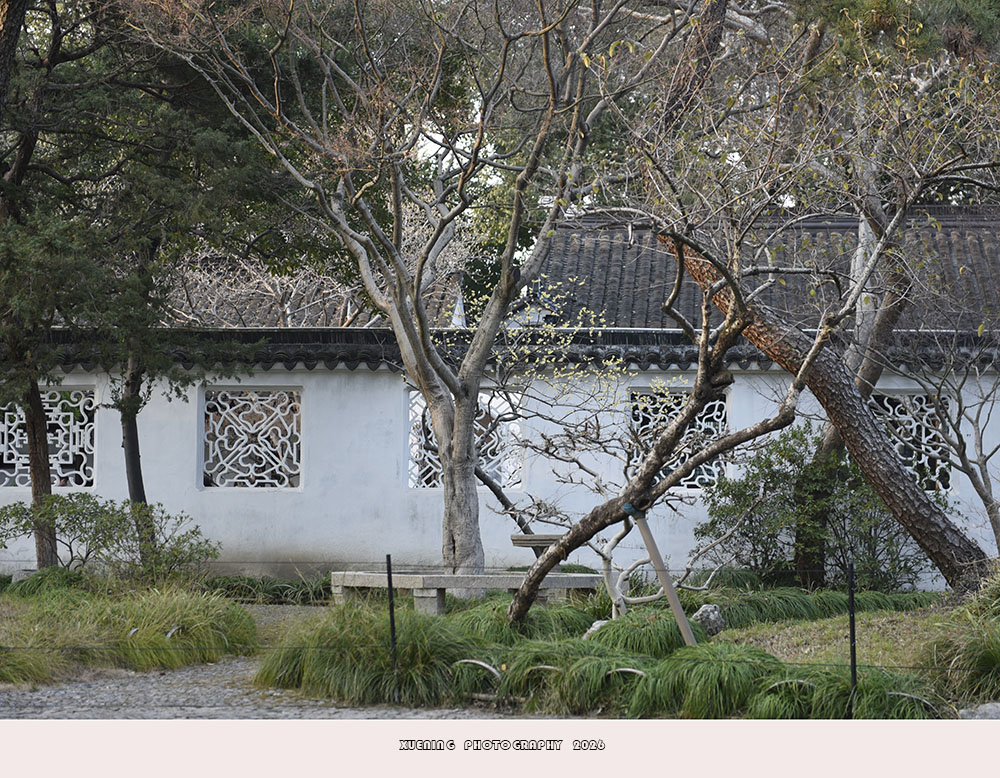 _DSC2513 拷贝.jpg