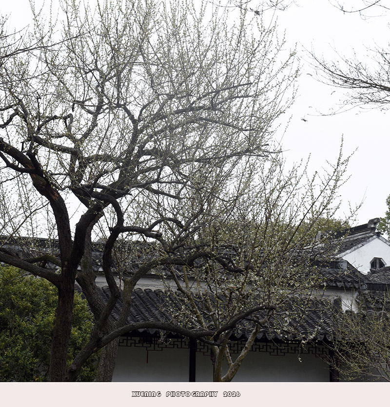 _DSC3165 拷贝.jpg