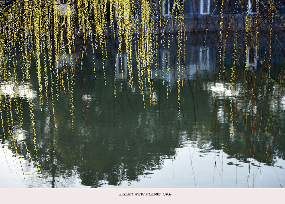 _DSC3938 拷贝.jpg
