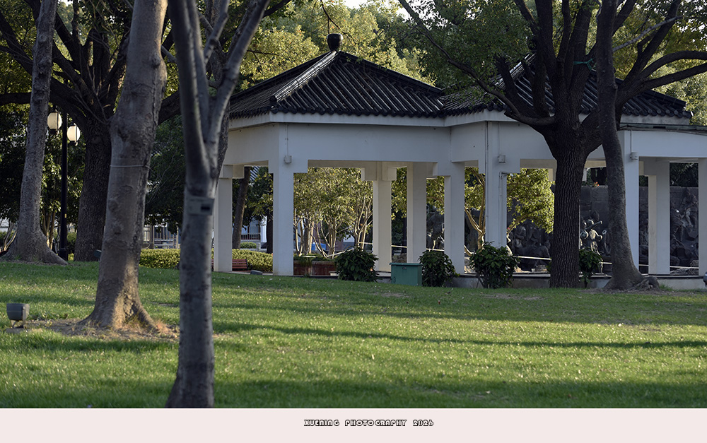 _DSC3882 拷贝.jpg