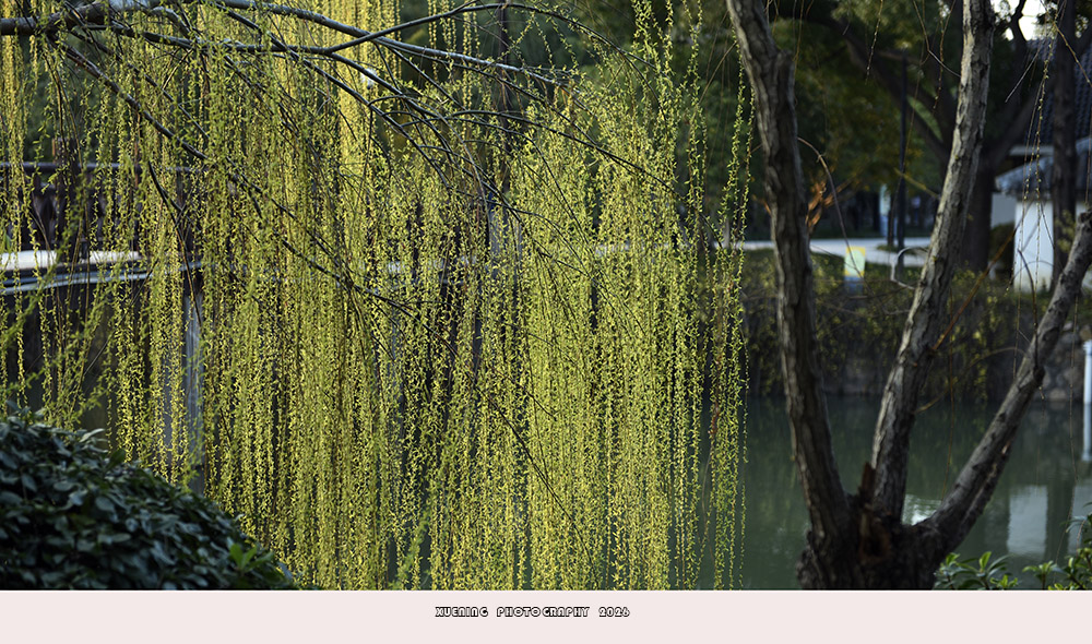_DSC3950 拷贝.jpg