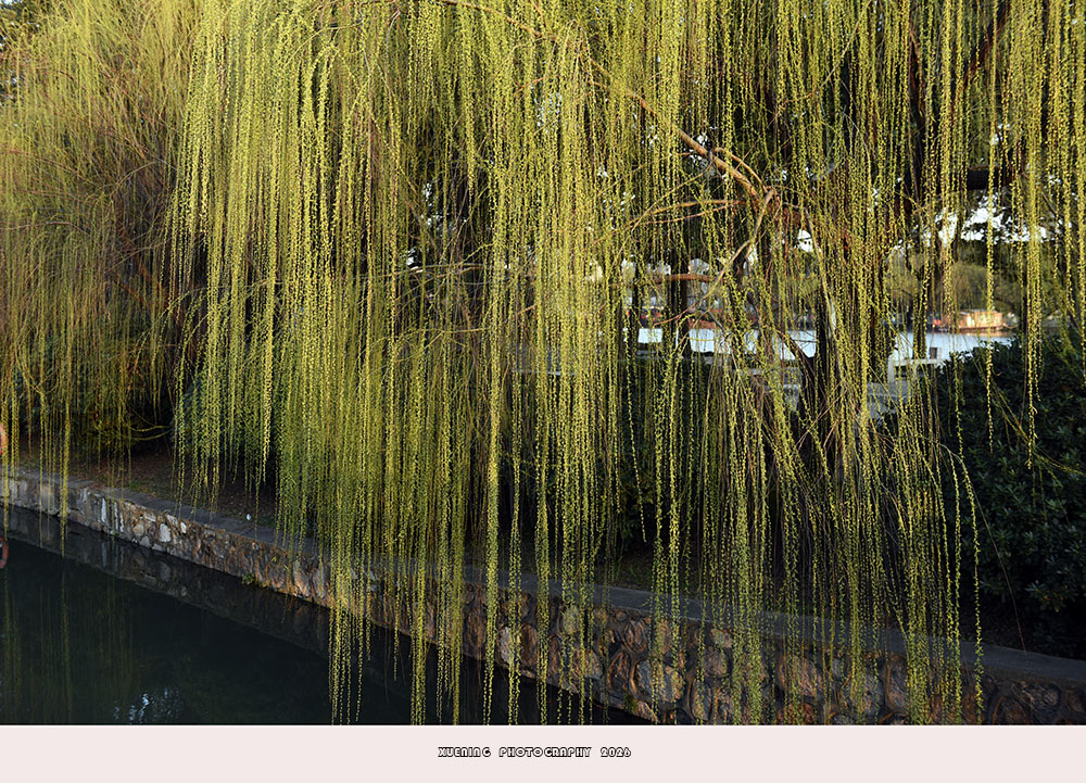 _DSC3961 拷贝.jpg