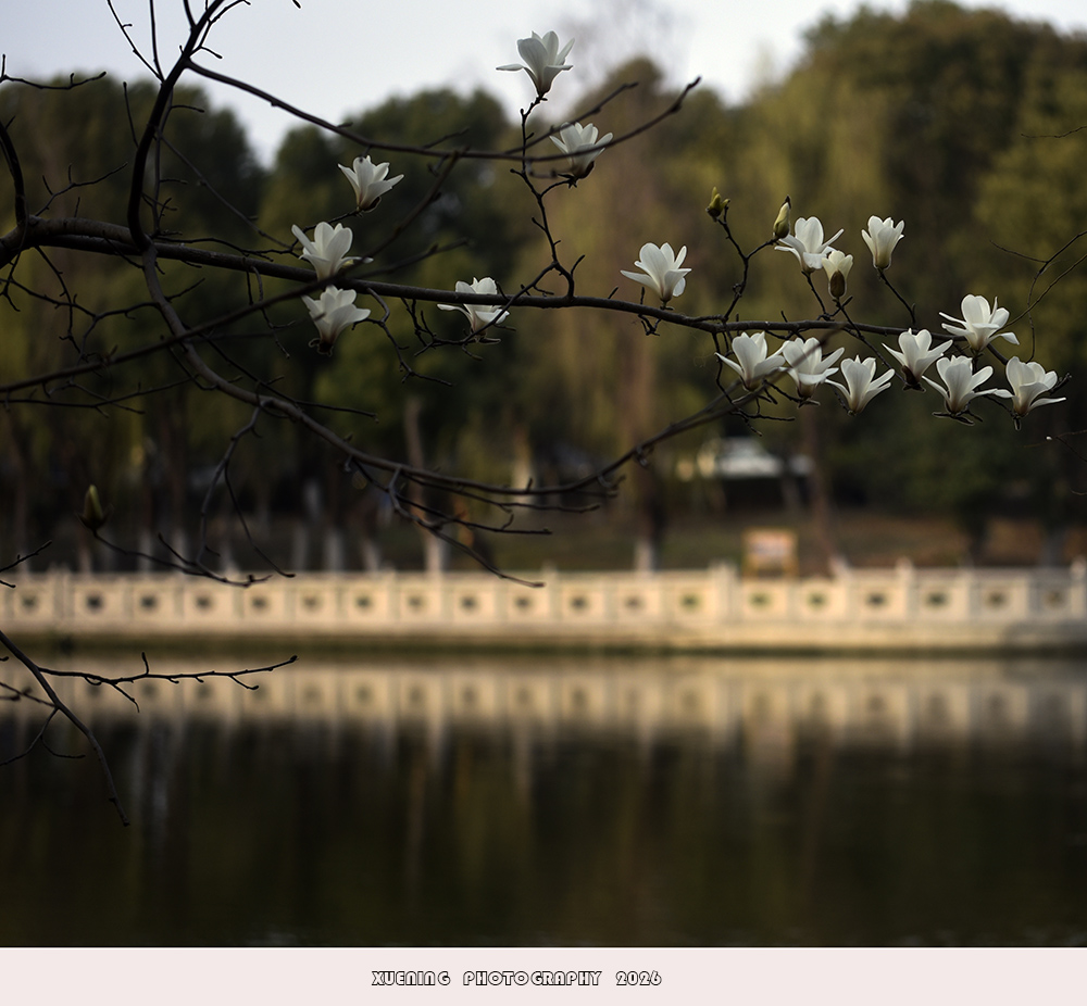 _DSC4047 拷贝.jpg