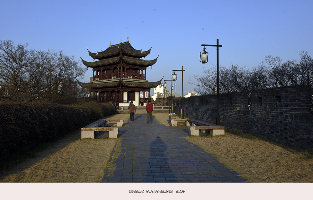 _DSC3934 拷贝.jpg