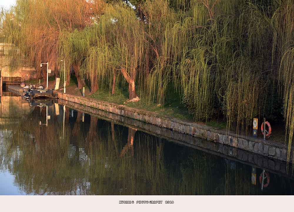 _DSC3962 拷贝.jpg