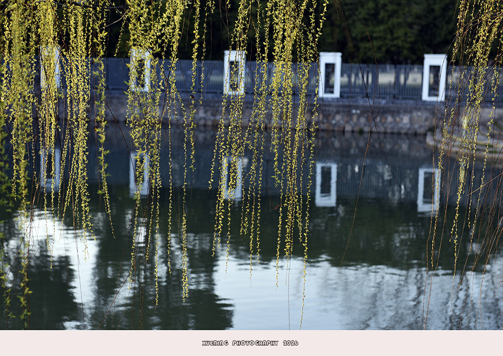 _DSC3946 拷贝.jpg