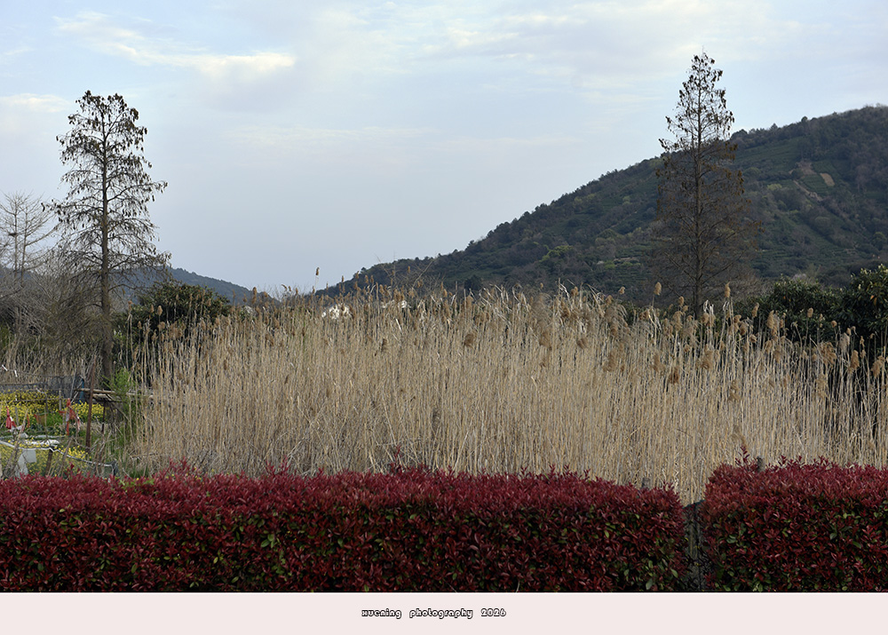_DSC5761 拷贝.jpg
