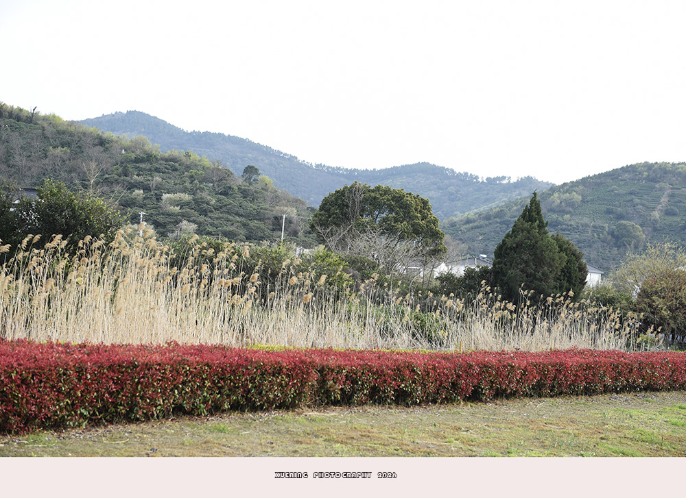_DSC5765 拷贝.jpg