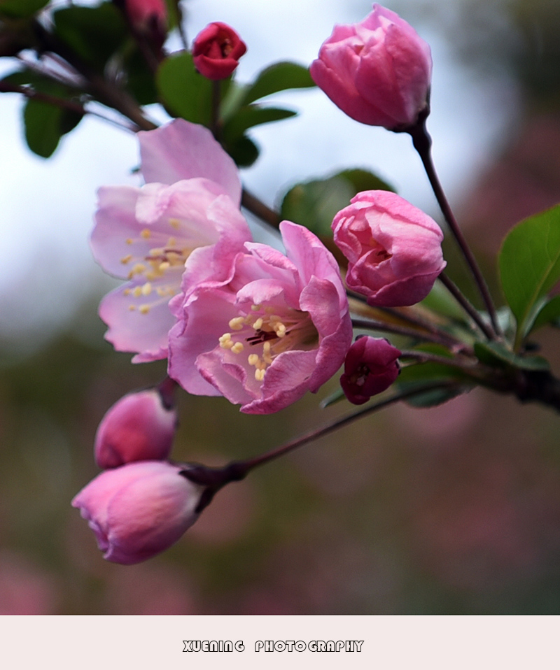 _DSC4849 拷贝.jpg