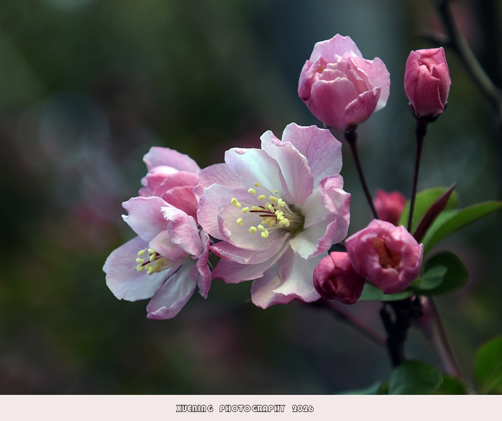 _DSC4850 拷贝.jpg