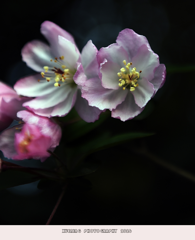 _DSC4855 拷贝.jpg