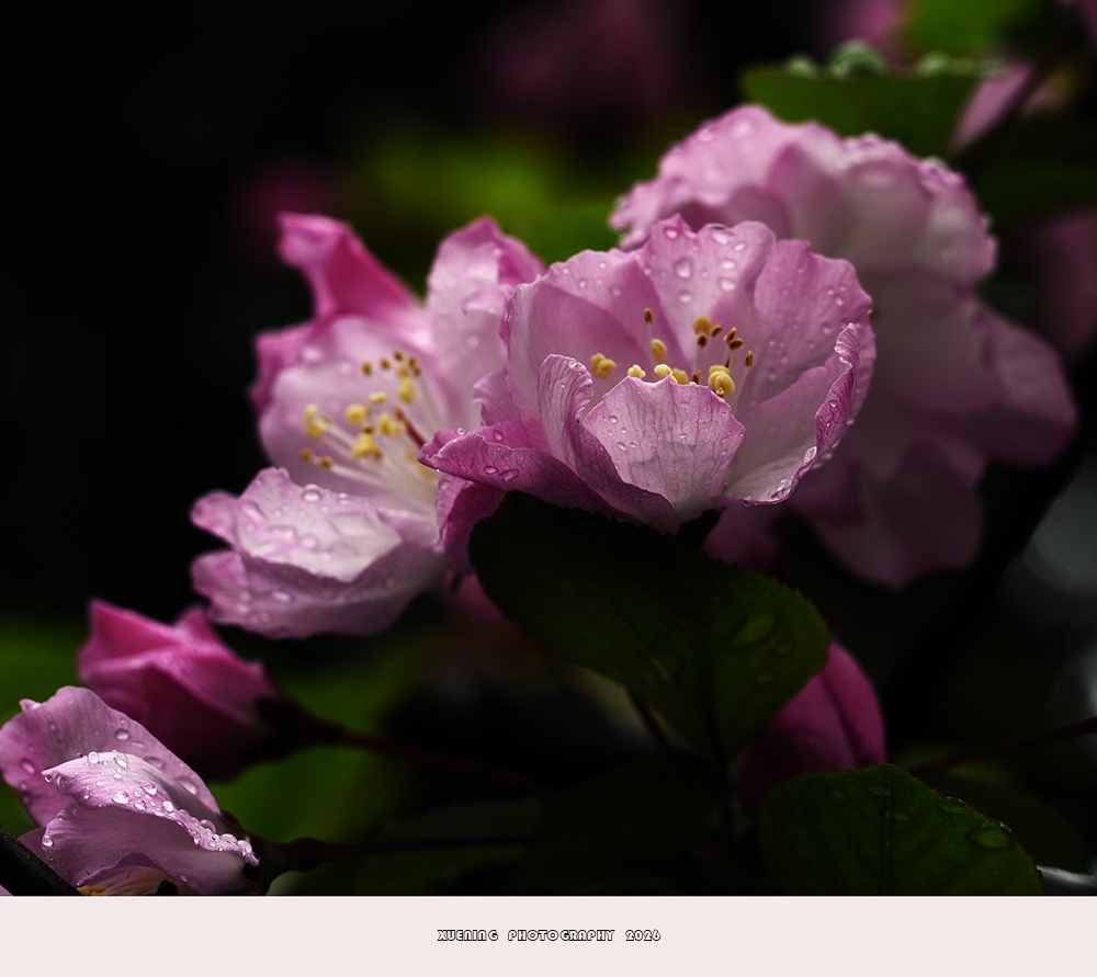 _DSC4957 拷贝.jpg
