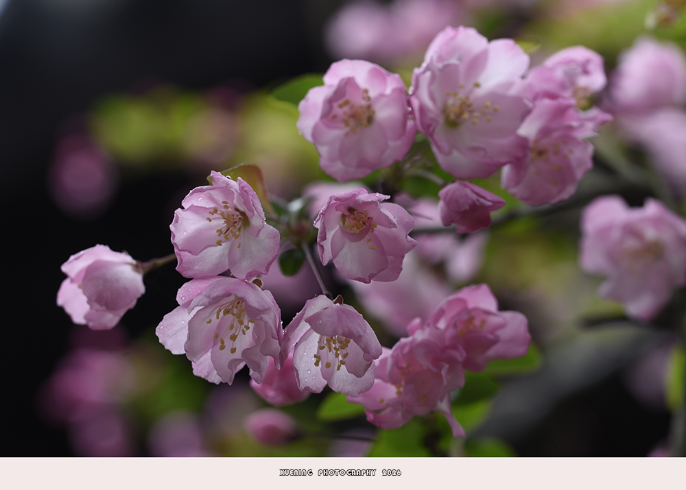 _DSC4969 拷贝.jpg