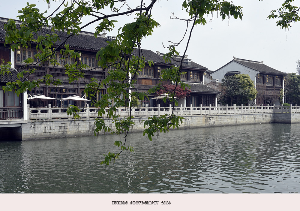 _DSC6590 拷贝.jpg