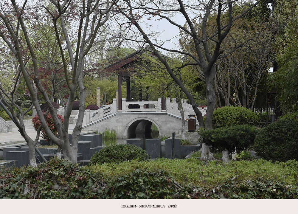 _DSC6604 拷贝.jpg