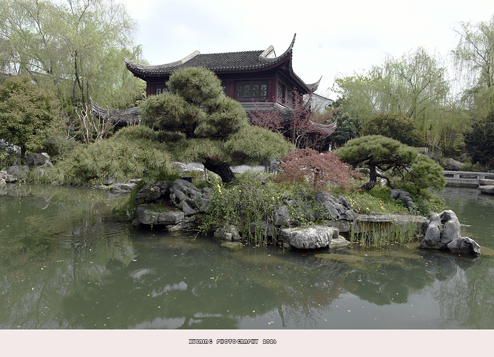 _DSC6667 拷贝.jpg