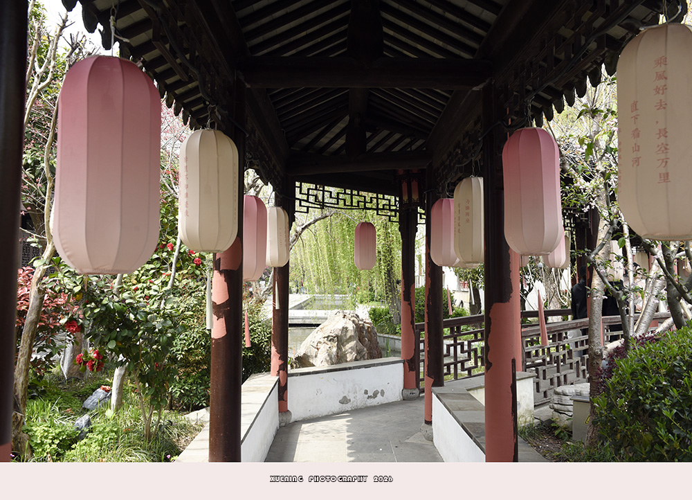 _DSC6649 拷贝.jpg