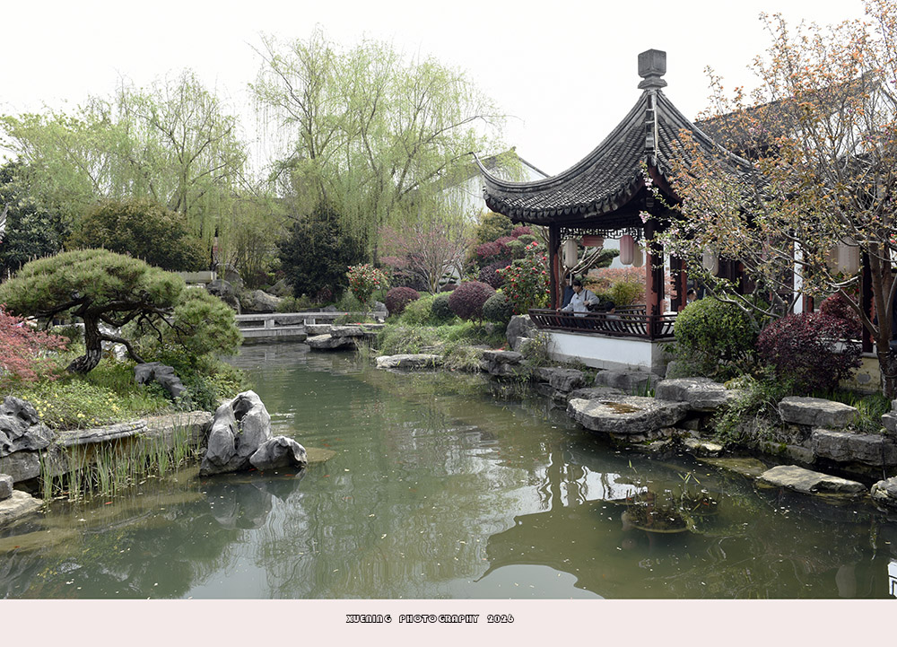 _DSC6668 拷贝.jpg