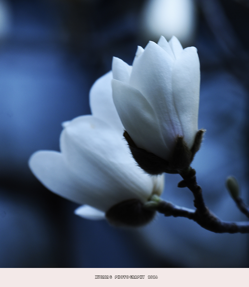 _DSC3551 拷贝.jpg