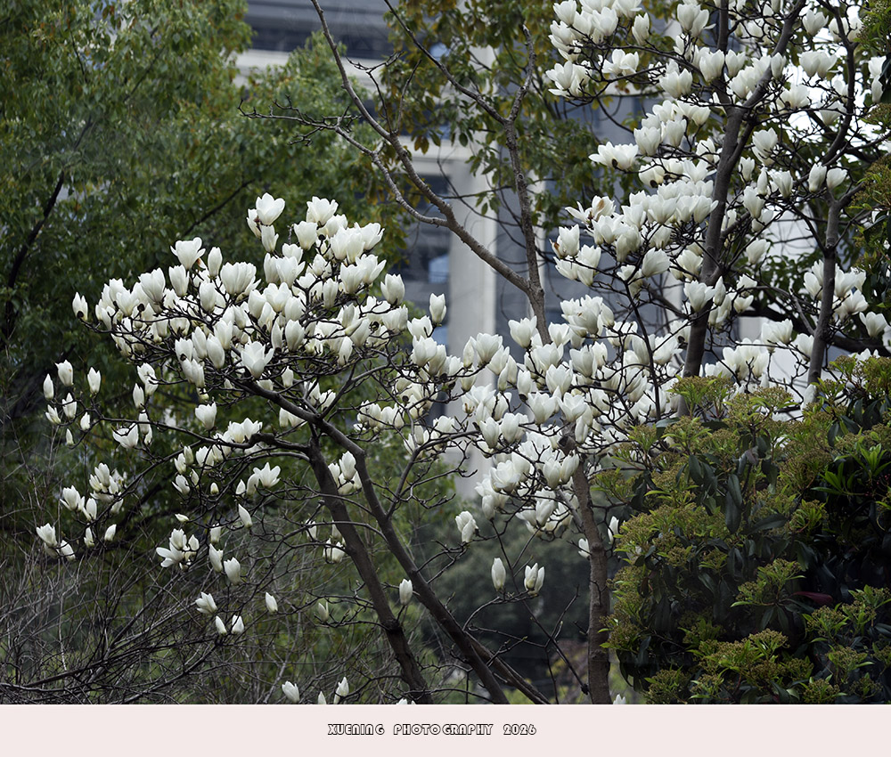 _DSC4429 拷贝.jpg
