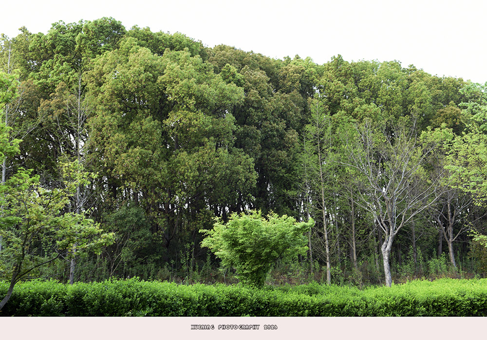 _DSC6844 拷贝.jpg